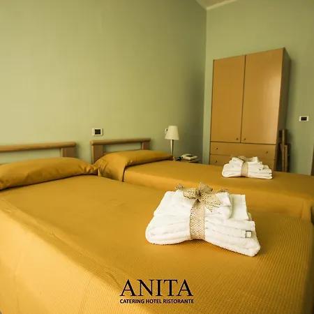 Anita 阿米里亚